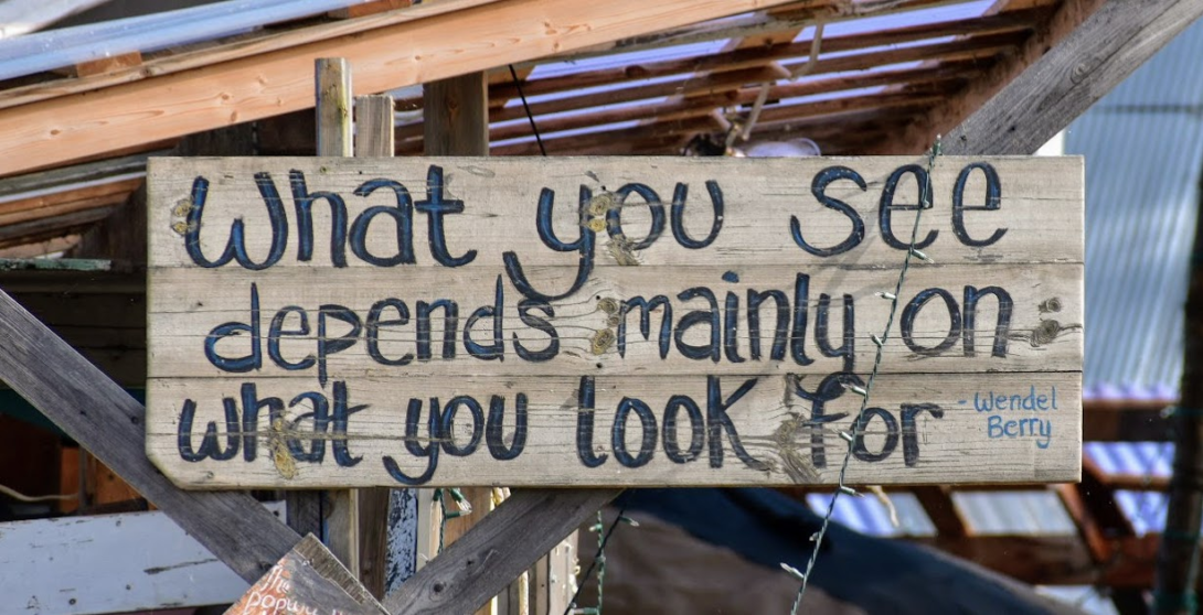 What you see depends mainly on what you look for